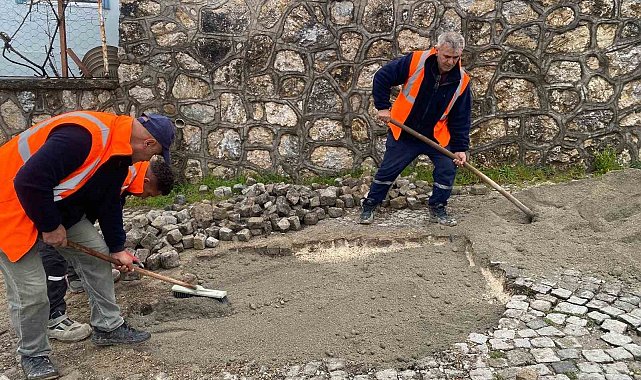 Düzce'nin 63 mahallesinde çalışma yürütülüyor