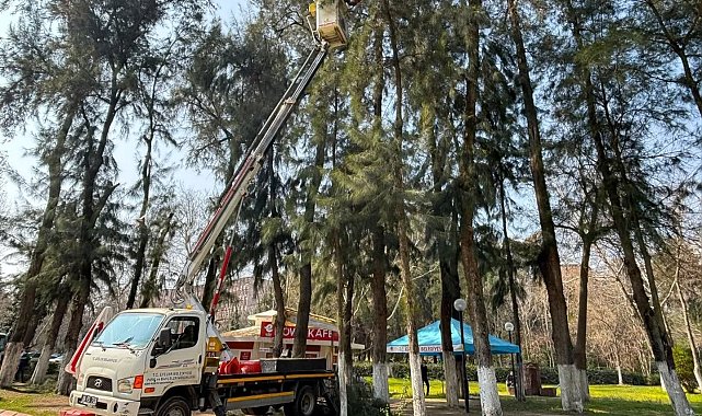 Efeler'de Pınarbaşı Mesire Alanı bakıma alındı