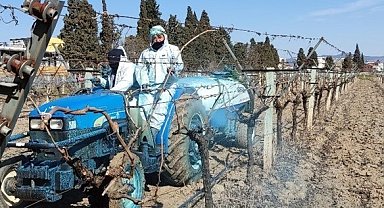 Erzincan Tarım Müdürlüğü'nden bordo bulamacı uyarısı: Uygulama zamanını kaçırmayın