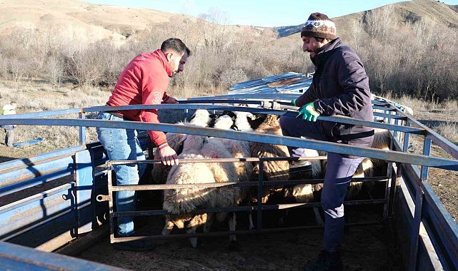 Erzincan'da besiciler 8 aylık göçe başladı