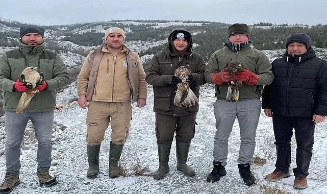 Eskişehir'de tedavi edilen yırtıcı kuşlar doğaya salındı