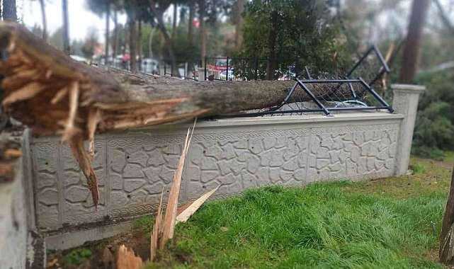 Fırtına Tavas'ta hayatı felç etti