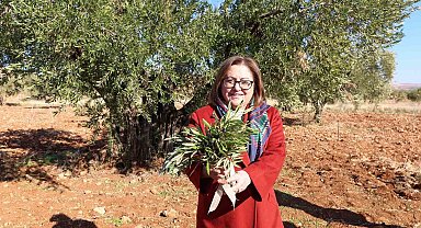 Gaziantep Büyükşehir'den Nizip'e örnek tarımsal destekler