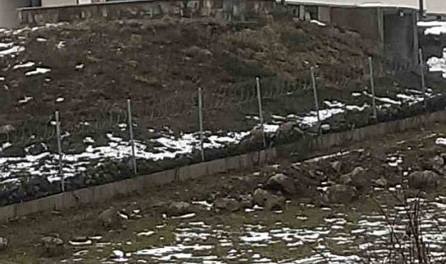 Göç yolculuğundaki leylekler Sakarya'da mola verdi