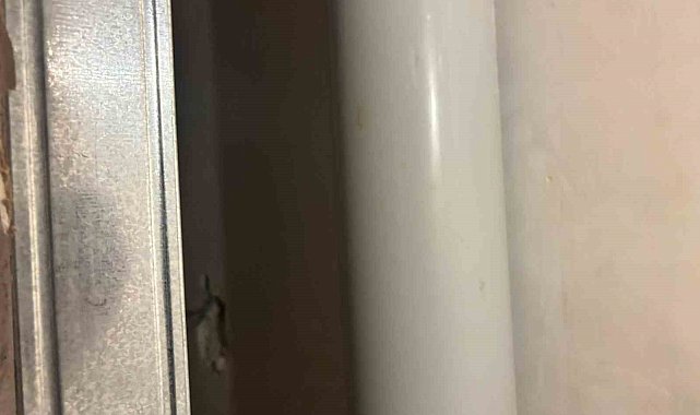 Gri kategoride aranan FETÖ firarisi Şadan Sakınan yakalandı