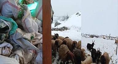 Hakkari'de 1,5 metrelik kar: Çiftçiler çaresiz