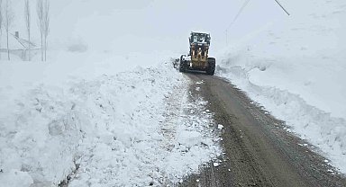 Hakkari'de 61 yerleşim yerinin yolu kapandı