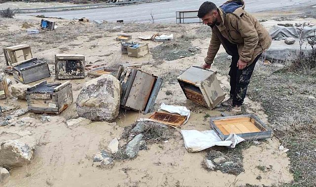 Hakkari'de selde 150 kovan zarar gördü