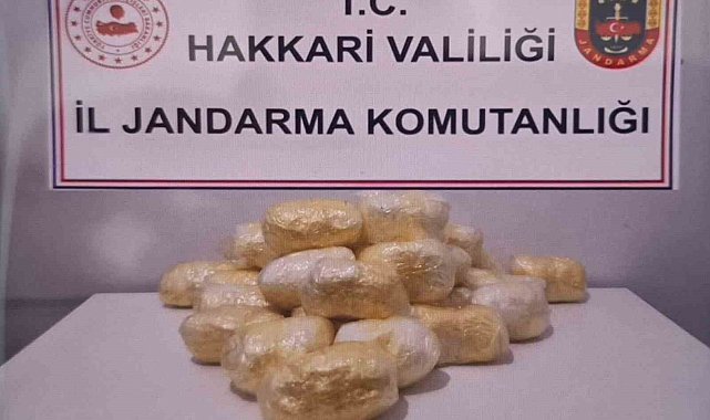 Hakkari'de tırda 15 kilo 263 gram metamfetamin ele geçirildi