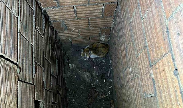 Havalandırma boşluğuna düşen kedi kurtarıldı