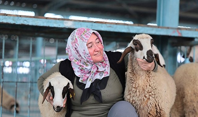Hayvancılık desteği üreticileri sevindirdi