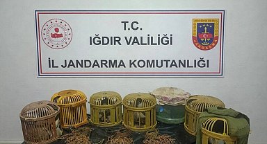Iğdır'da kaçak keklik avcılarına 175 bin TL ceza