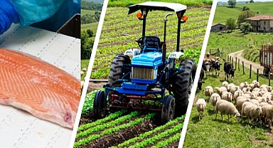 IPARD III'te yeni takvim açıklandı... Kırsala 241 milyon avroluk dev hibe