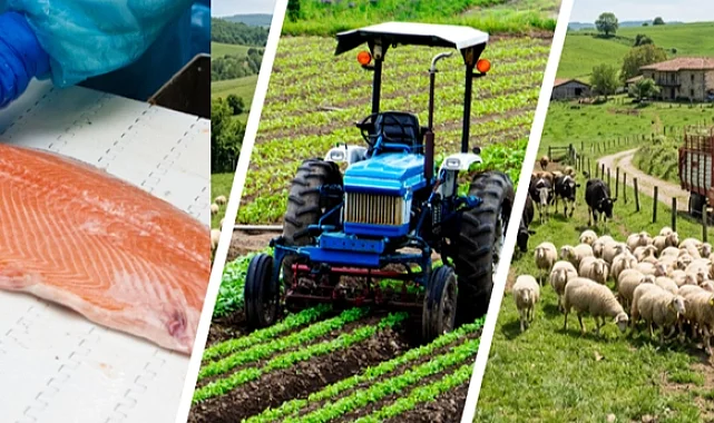 IPARD III'te yeni takvim açıklandı... Kırsala 241 milyon avroluk dev hibe