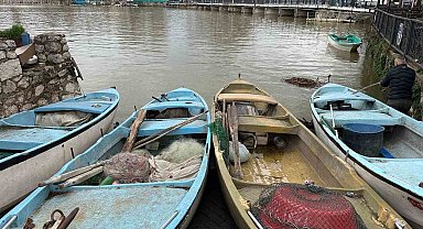 İstilacı İsrail sazanları balıkçılara gelir kaynağı oldu
