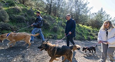 İzmir Büyükşehir'den sahipsiz hayvanlar için çağrı