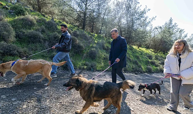İzmir Büyükşehir'den sahipsiz hayvanlar için çağrı