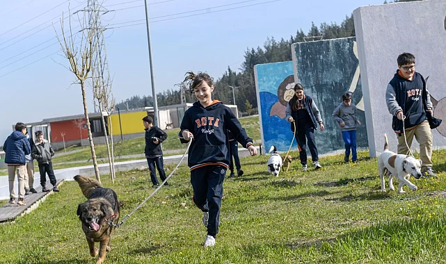 İzmir'de 2 bin 300 patili yuva bekliyor