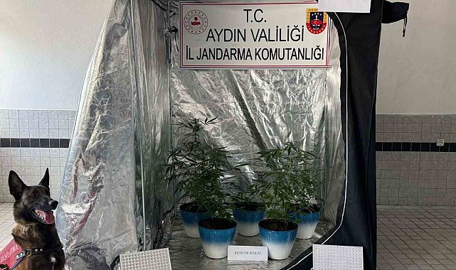 Jandarma narkotik affetmedi