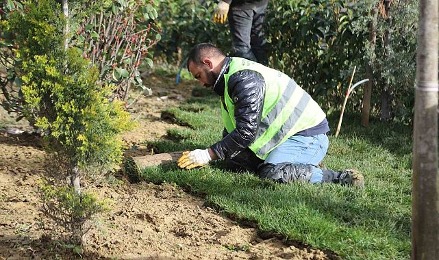 Kağıthane'de yeşil alanlarda bakım ve düzenleme çalışmaları sürüyor