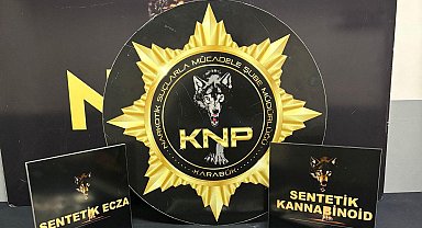 Karabük'te uyuşturucu operasyonlarında 9 kişi yakalandı