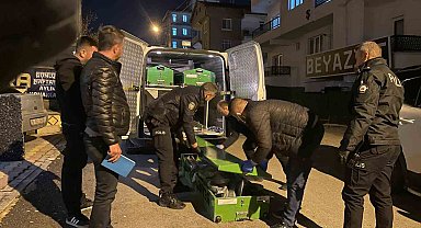 Karaman'da genç kadın kaldığı apart dairede ölü bulundu