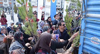 Karapınar'da ağaçlandırma etkinliği