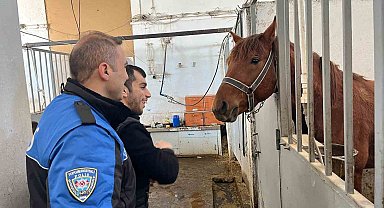 Kars'ta özel öğrenciler için anlamlı etkinlik