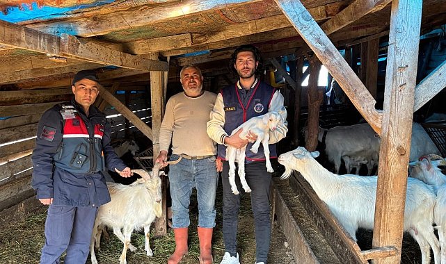 Kaybolan 50 küçükbaş hayvan dron destekli aramayla bulundu