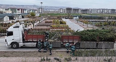 Kayseri Kocasinan'dan ağaç dikme rekoru