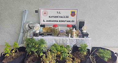 Kayseri'de evinde uyuşturucu yetiştiren şüpheli gözaltına alındı