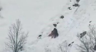 Kış uykusundan uyanan ayıların kar keyfi