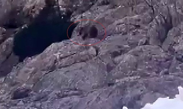Kış uykusundan uyandı, kar üstünde yiyecek aradı