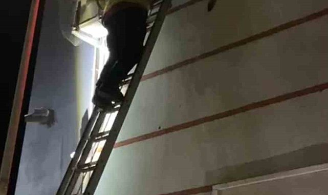 Klima motoruna sıkışan yavru kedi kurtarıldı