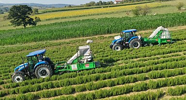 Kocaeli'de kırsal üretimde Büyükşehir'in izi var