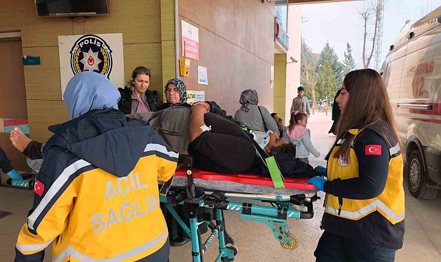 Kontrolü kaybeden kamyonet yoldan çıktı