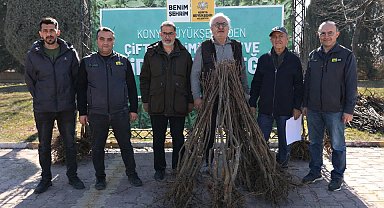 Konya Büyükşehir'den çiftçilere 23 bin 530 fidan desteği