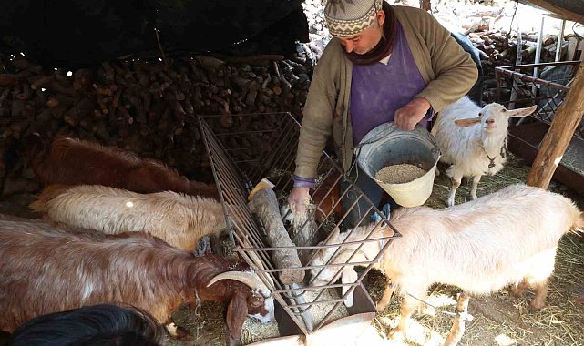 Korkuteli'nde yem ezme ve kırma makinesi üreticiye kolaylık sağlıyor