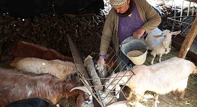 Korkuteli'nde yem ezme ve kırma makinesi üreticiye kolaylık sağlıyor