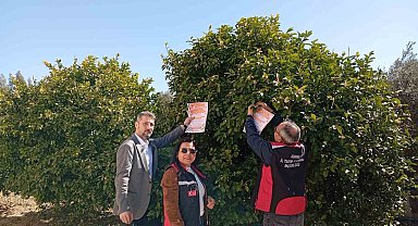 Kozan'da arıların korunmasına yönelik çalışma başlatıldı