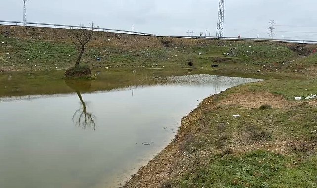 Kuruyan gölet yeniden canlandı: Çatlayan topraklar suyla buluştu
