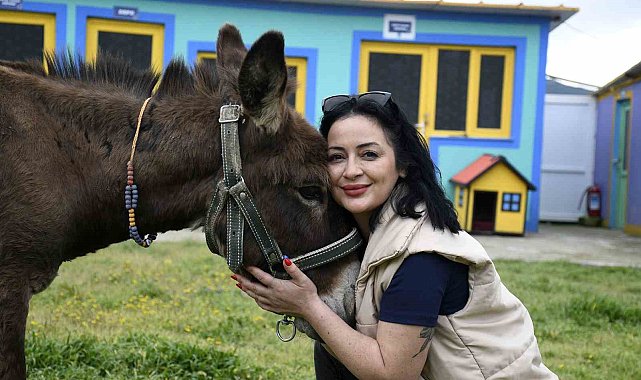 Kuşadası'ndan saplandığı çamurdan kurtarılan eşek koruma altına alındı