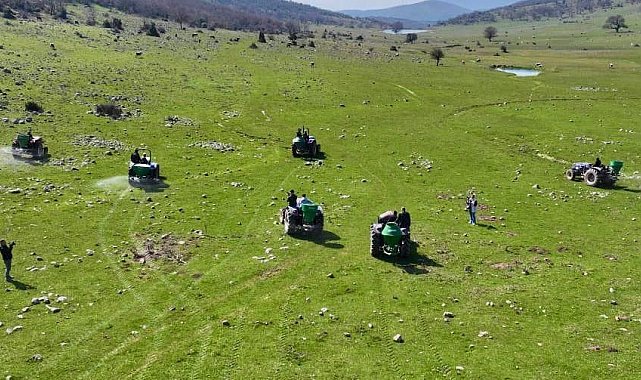 Manisa'da meralara 8,5 tonluk bereket