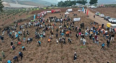 Manisa'da Orman Haftası'nda binlerce fidan toprakla buluştu