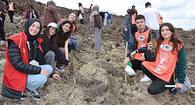 Manisa'da yanan alanlar yeniden yeşeriyor
