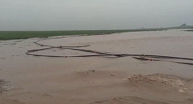 Mardin'de sağanak hayatı felç etti: Dereler taştı, ahır çöktü