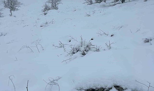 Mart sonunda Karıncalı Dağ'da kar sürprizi