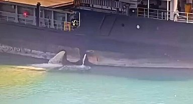 Mersin Limanı'nda denizi kirleten gemiye 13,1 milyon TL ceza