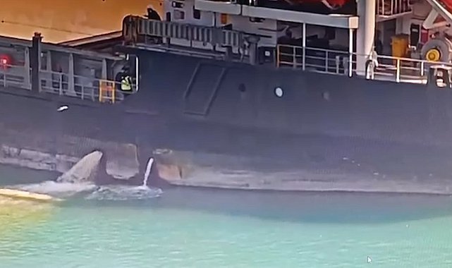 Mersin'de denizi kirleten gemiye 13 milyon TL ceza kesildi, gemi rıhtıma bağlandı