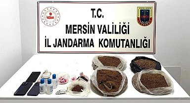 Mersin'de uyuşturucu operasyonu: 10,5 kilo bonzai ele geçirildi